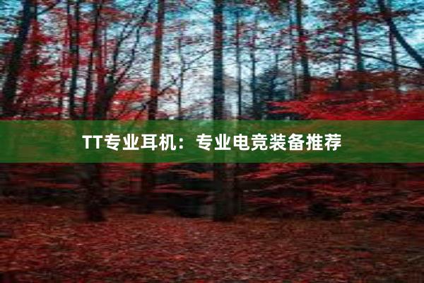 TT专业耳机：专业电竞装备推荐