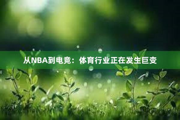 从NBA到电竞：体育行业正在发生巨变